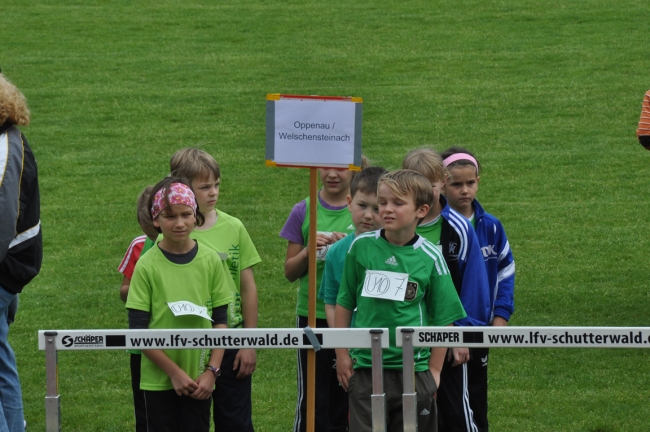 Bild »DSC_0029.jpg« aus der Galerie »Kindermehrkämpfe um den Markant-Cup«