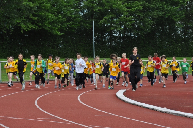 Bild »DSC_0033.jpg« aus der Galerie »Kindermehrkämpfe um den Markant-Cup«