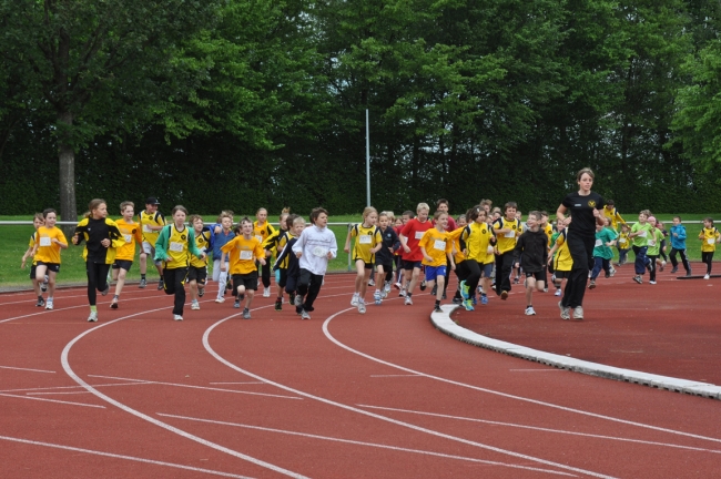 Bild »DSC_0034.jpg« aus der Galerie »Kindermehrkämpfe um den Markant-Cup«