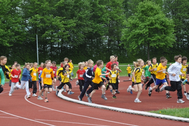 Bild »DSC_0036.jpg« aus der Galerie »Kindermehrkämpfe um den Markant-Cup«