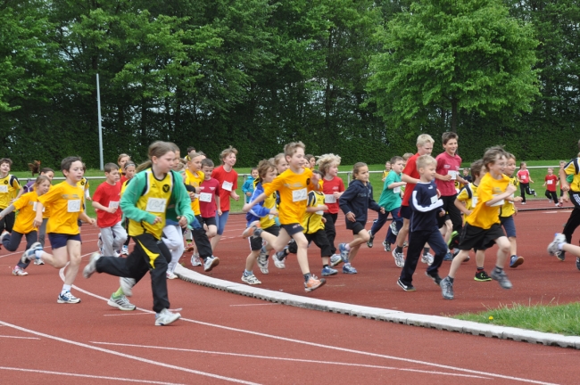 Bild »DSC_0037.jpg« aus der Galerie »Kindermehrkämpfe um den Markant-Cup«