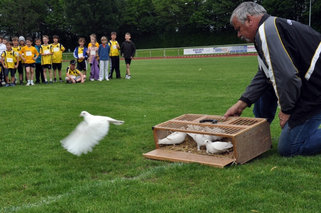 Bild »DSC_0057.jpg« aus der Galerie »Kindermehrkämpfe um den Markant-Cup«