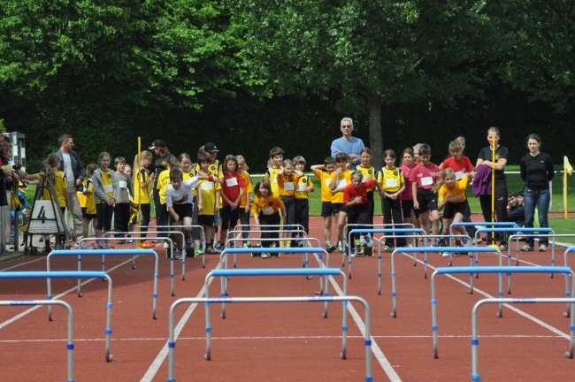 Bild »DSC_0115.jpg« aus der Galerie »Kindermehrkämpfe um den Markant-Cup«