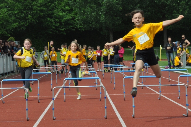 Bild »DSC_0127.jpg« aus der Galerie »Kindermehrkämpfe um den Markant-Cup«