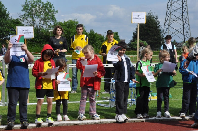 Bild »DSC_0213.jpg« aus der Galerie »Kindermehrkämpfe um den Markant-Cup«