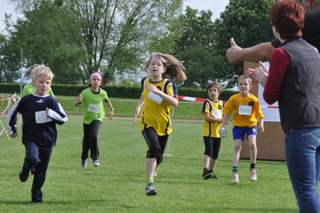 Bild »DSC_0235.jpg« aus der Galerie »Kindermehrkämpfe um den Markant-Cup«