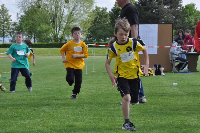 Bild »DSC_0238.jpg« aus der Galerie »Kindermehrkämpfe um den Markant-Cup«