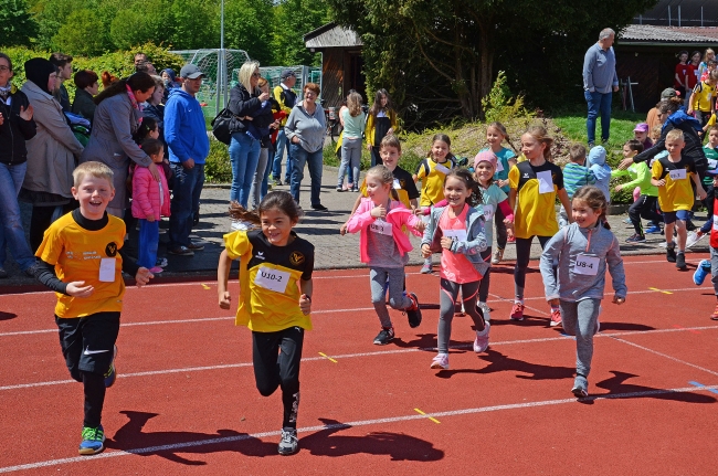 Bild »GAB_8095_web.jpg« aus der Galerie »Kindermehrkämpfe um den Sparkassen-Cup«