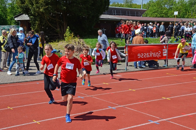 Bild »GAB_8103_web.jpg« aus der Galerie »Kindermehrkämpfe um den Sparkassen-Cup«