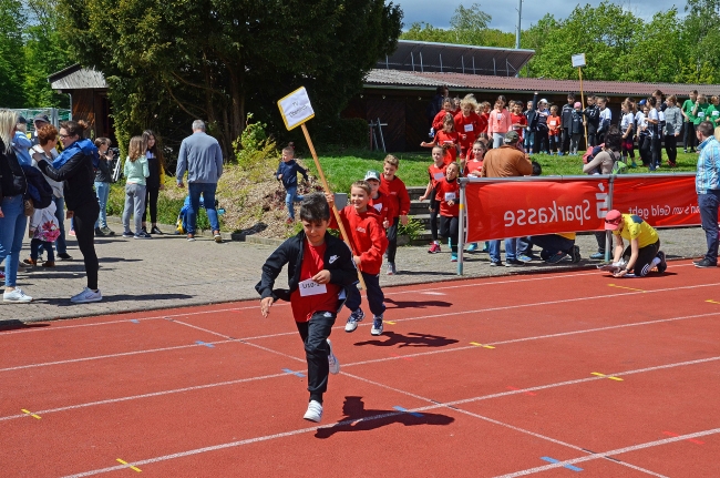 Bild »GAB_8105_web.jpg« aus der Galerie »Kindermehrkämpfe um den Sparkassen-Cup«