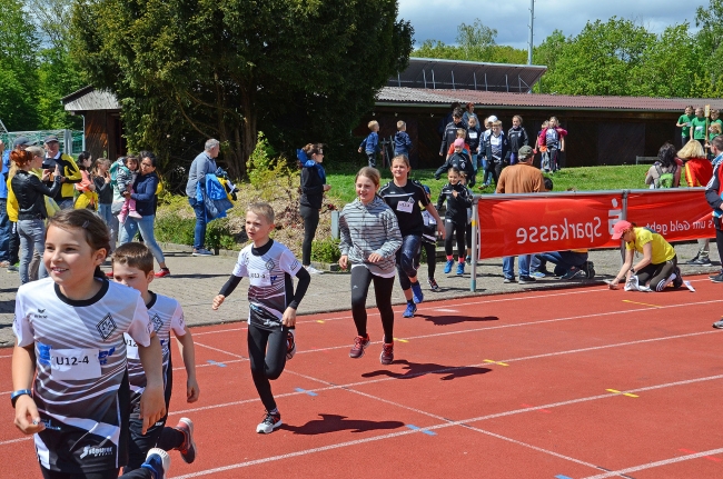 Bild »GAB_8115_web.jpg« aus der Galerie »Kindermehrkämpfe um den Sparkassen-Cup«