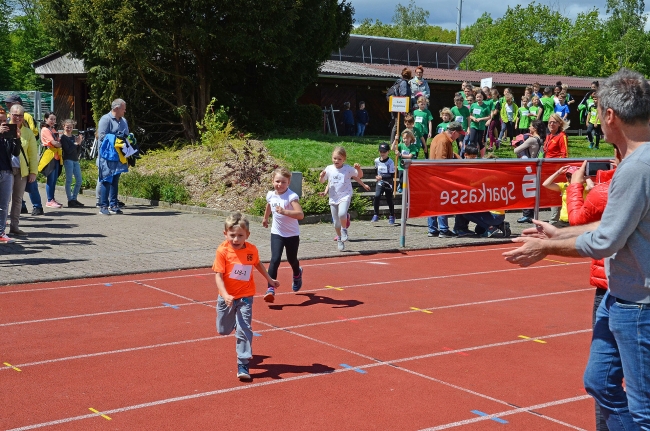 Bild »GAB_8121_web.jpg« aus der Galerie »Kindermehrkämpfe um den Sparkassen-Cup«