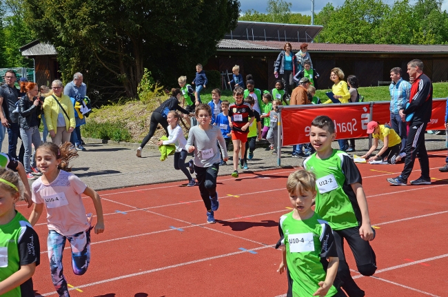 Bild »GAB_8129_web.jpg« aus der Galerie »Kindermehrkämpfe um den Sparkassen-Cup«