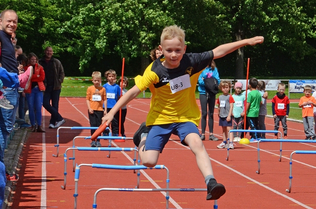 Bild »GAB_8187_web.jpg« aus der Galerie »Kindermehrkämpfe um den Sparkassen-Cup«