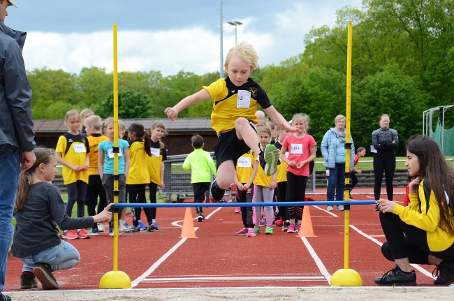 Bild »GAB_8209_web.jpg« aus der Galerie »Kindermehrkämpfe um den Sparkassen-Cup«