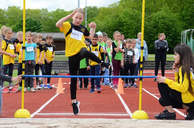 Bild »GAB_8213_web.jpg« aus der Galerie »Kindermehrkämpfe um den Sparkassen-Cup«