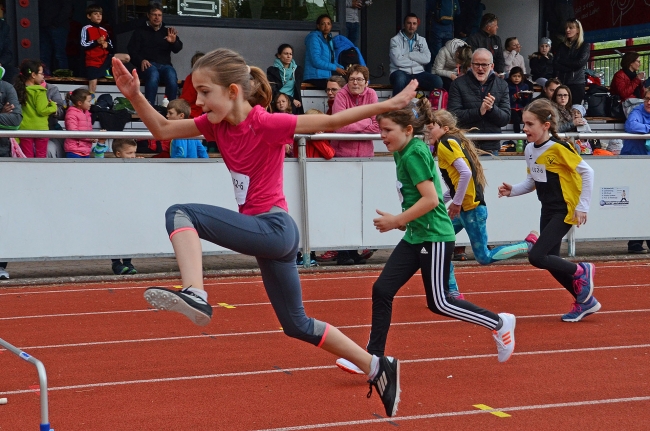 Bild »GAB_8338_web.jpg« aus der Galerie »Kindermehrkämpfe um den Sparkassen-Cup«