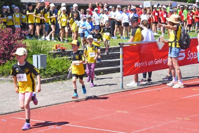 Bild »GAB_1115.jpg« aus der Galerie »Kindermehrkämpfe am 11. Mai 2024«