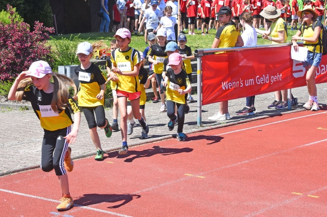 Bild »GAB_1123.jpg« aus der Galerie »Kindermehrkämpfe am 11. Mai 2024«