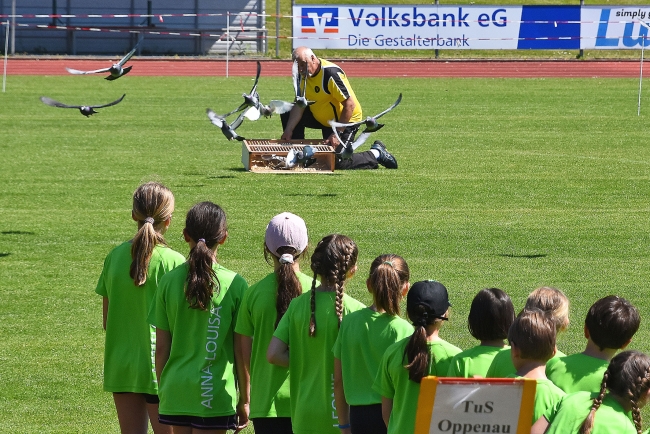 Bild »GAB_4528.jpg« aus der Galerie »Kindersportfest - VR Talentiade 2025«