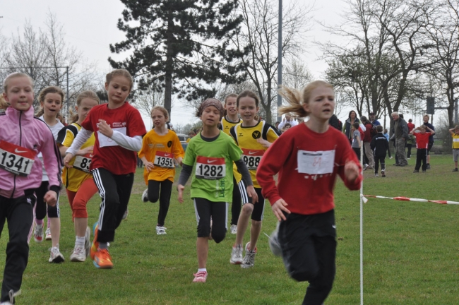 Bild »DSC_0018.jpg« aus der Galerie »Waldlauf Kreis- und Ortenaumeisterschaften«