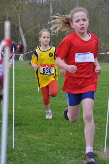 Bild »DSC_0022.jpg« aus der Galerie »Waldlauf Kreis- und Ortenaumeisterschaften«