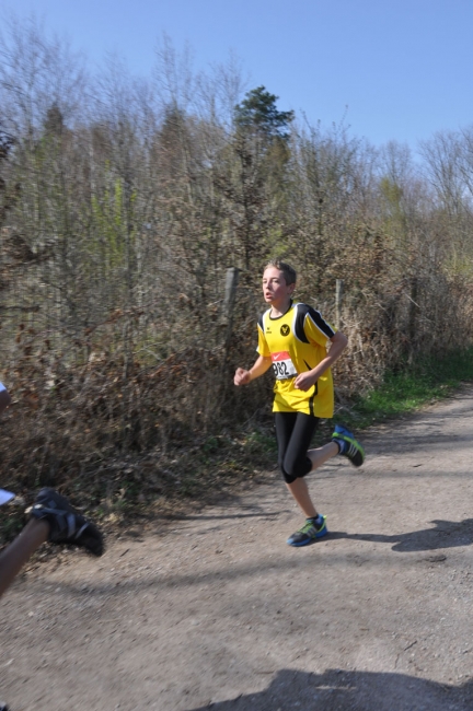 Bild »DSC_0182.jpg« aus der Galerie »Waldlauf Kreis- und Ortenaumeisterschaften«