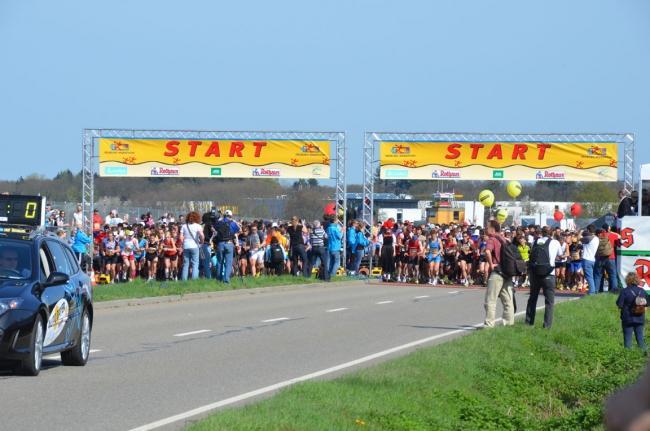 Bild »DSC_0121_web.jpg« aus der Galerie »Marathonis beim Freiburg-Marathon«