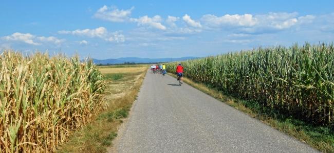 Bild »Radtour01.jpg« aus der Galerie »Senior Adventure Tour«