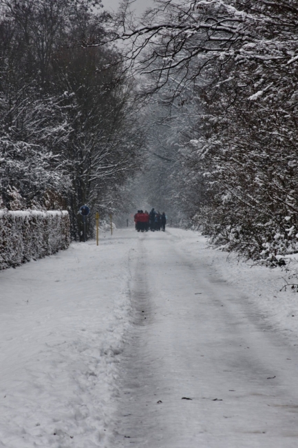 Bild »IMG_5428.jpg« aus der Galerie »Silvesterlauf«