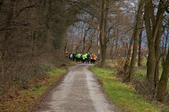 Bild »IMG_0271.jpg« aus der Galerie »Silvesterlauf«