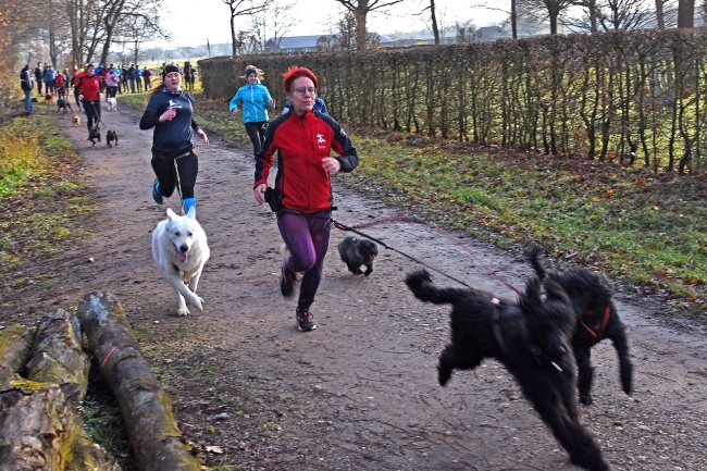 Bild »GAB_0254.jpg« aus der Galerie »Silvesterlauf«