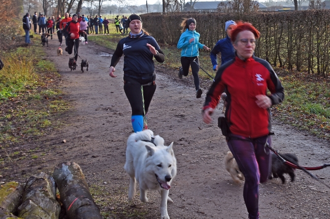 Bild »GAB_0255.jpg« aus der Galerie »Silvesterlauf«