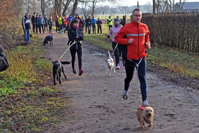 Bild »GAB_0264.jpg« aus der Galerie »Silvesterlauf«