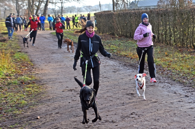 Bild »GAB_0267.jpg« aus der Galerie »Silvesterlauf«