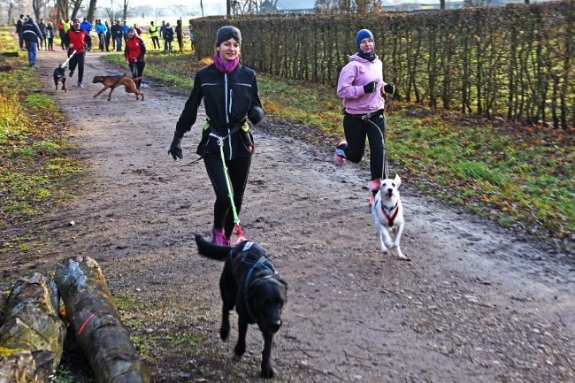 Bild »GAB_0269.jpg« aus der Galerie »Silvesterlauf«