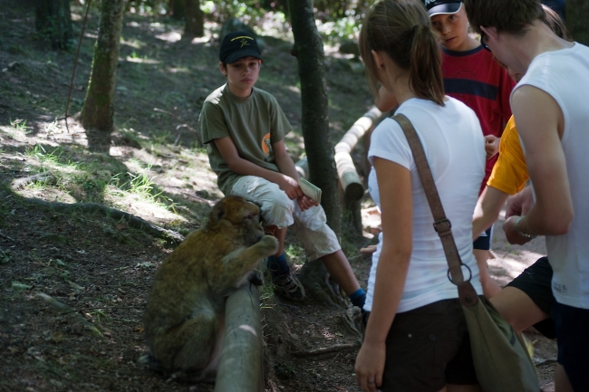 Bild »DSC04537.jpg« aus der Galerie »LFV Jugend: Adventure Tour«