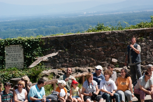 Bild »DSC04633.jpg« aus der Galerie »LFV Jugend: Adventure Tour«