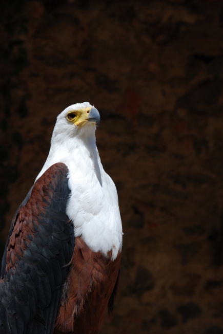 Bild »DSC_2458.JPG« aus der Galerie »LFV Jugend: Adventure Tour«