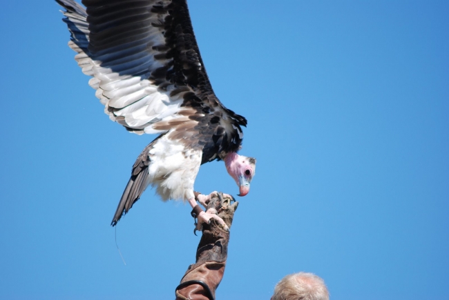 Bild »DSC_2494.JPG« aus der Galerie »LFV Jugend: Adventure Tour«