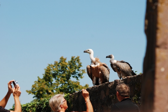 Bild »DSC_2496.JPG« aus der Galerie »LFV Jugend: Adventure Tour«