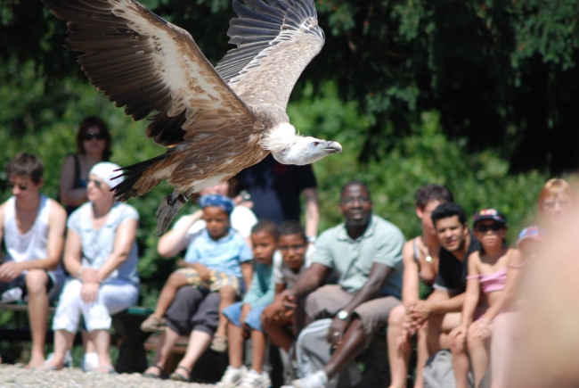 Bild »DSC_2509.JPG« aus der Galerie »LFV Jugend: Adventure Tour«