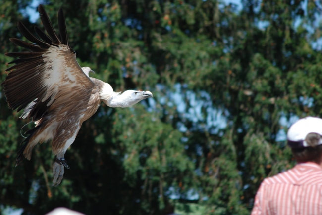 Bild »DSC_2511.JPG« aus der Galerie »LFV Jugend: Adventure Tour«