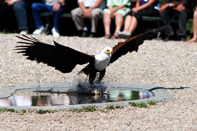 Bild »DSC_2568.JPG« aus der Galerie »LFV Jugend: Adventure Tour«