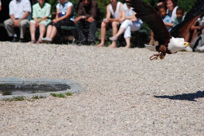 Bild »DSC_2569.JPG« aus der Galerie »LFV Jugend: Adventure Tour«