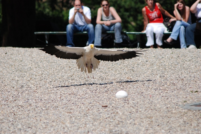 Bild »DSC_2572.JPG« aus der Galerie »LFV Jugend: Adventure Tour«