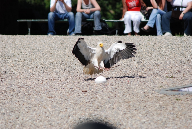 Bild »DSC_2573.JPG« aus der Galerie »LFV Jugend: Adventure Tour«