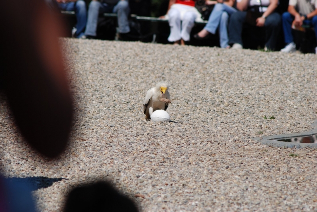 Bild »DSC_2577.JPG« aus der Galerie »LFV Jugend: Adventure Tour«