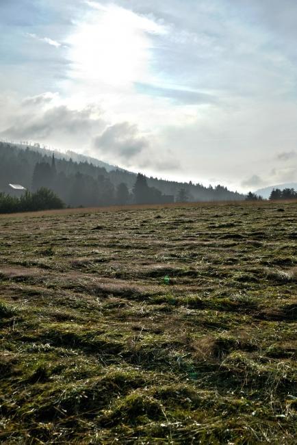 Bild »HDR2.jpg« aus der Galerie »LFV Jugend: Adventure Tour«