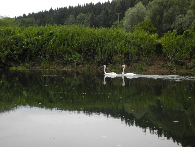 Bild »DSCN1440.JPG« aus der Galerie »LFV Jugend: Adventure Tour«